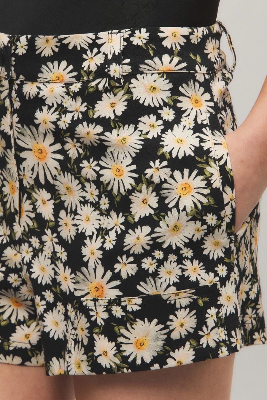 Short Wild Daisies